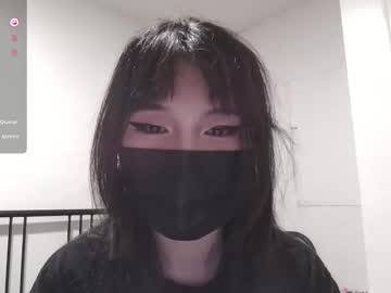 kitty krush